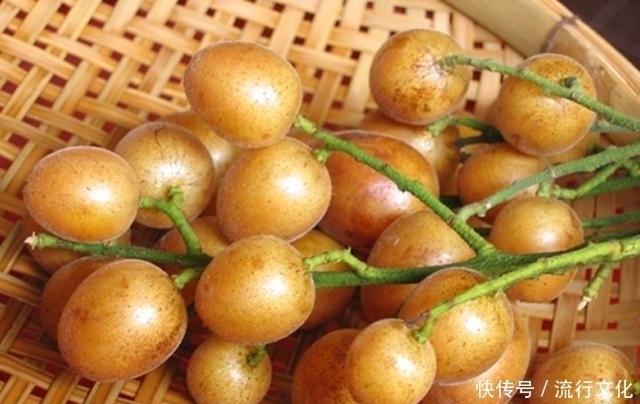 黄枇|晚上当零食吃几颗，坚持一段时间，化痰止咳，健脾理气，不妨试试