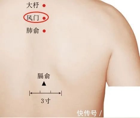 身柱穴|夏天开背，人活百岁！教你5个保养后背实用方法，身体健康不遭罪