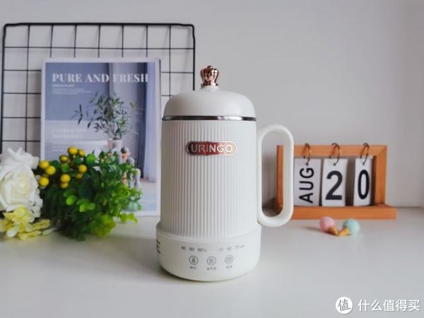 no,no|七彩叮当迷你养生壶,一壶暖时光,开启“轻”生活