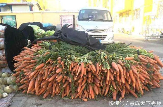 东北|当东北人开始囤菜,阵仗可以有多大南方人场面堪比部队站军姿