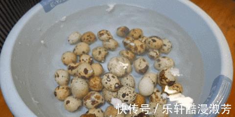 五香鹌鹑蛋|想吃卤鹌鹑蛋不用去买，教你一个家常做法，卤味浓郁，百吃不厌