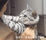 包包 你该换包了!今年流行这3款,好看又百搭!