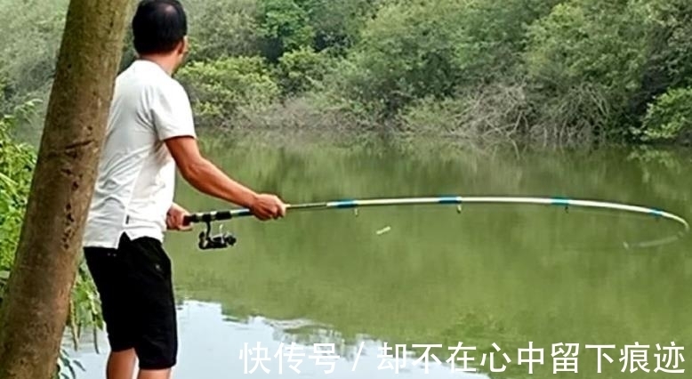 破解|别人连竿,你却没口?20年老钓手:按我说的做,竿竿中鱼不停歇