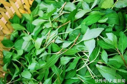冬末春初百病起，想要疾病不粘身？趁早吃点“苦”