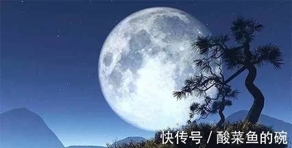 念奴娇#千古第一悼亡词《江城子》