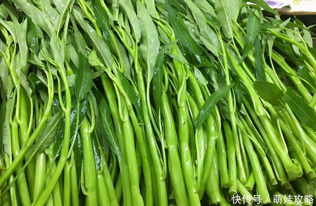 锦葵科木槿属|聪明女性都爱的3种食物，平时多吃些，补血益气，抑菌，有益健康