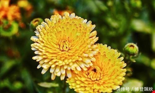 水调数|北宋词人醉后睡醒,写下一首伤春词,其中七字惊艳世人