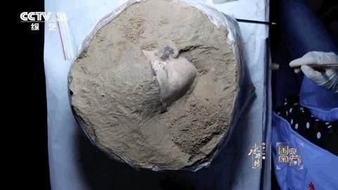 燃爆B站的“国宝”级综艺,开播9.5分,网友:不愧是央视出品!