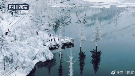 四姑娘山|像童话！四姑娘山空灵雪景似琉璃