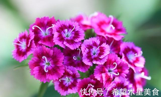 锻炼身体|28岁女孩学游泳锻炼身体,私教教练却百般骚扰,我怕了!