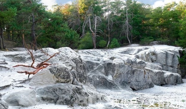 照片&德艺术家把不着片缕的美女隐藏在照片中,人体彩绘伪装下佳人何在