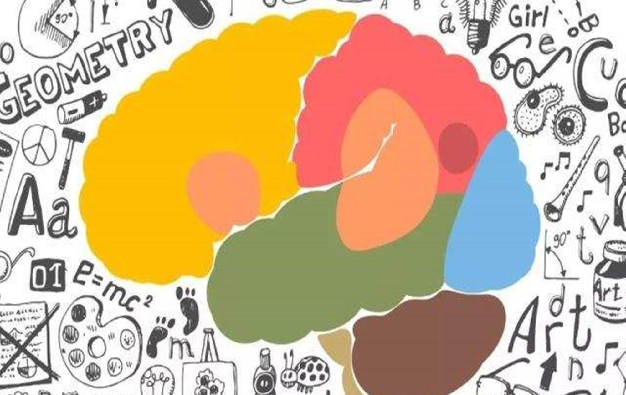 记忆力|孩子若有这3种特征,说明右脑很发达,长大多半是“学习的料”