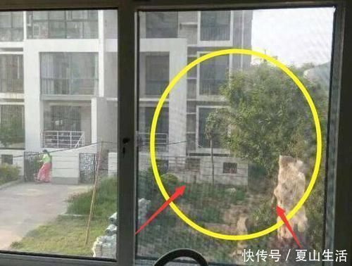 金刚纱|你家里还装窗纱吗太落后了,如今都流行这样,漂亮又实用