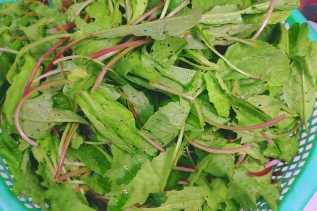 秋冬交替，最该吃此菜，鲜嫩营养又应季，错过了等明年