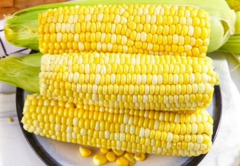 维生素e|夏季体内湿气重,多吃这几种食物轻松排湿