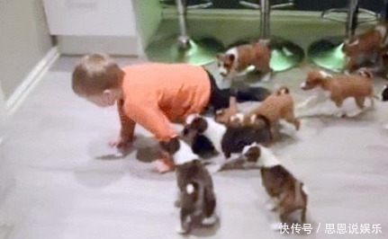 孩子|妈妈在厨房听到孩子在大叫,出来一看,顿时就笑的肚子痛