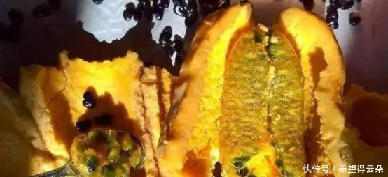 采摘|它现在的价值已不允许再折枝采摘,如果您的家乡也有,请及时重视!