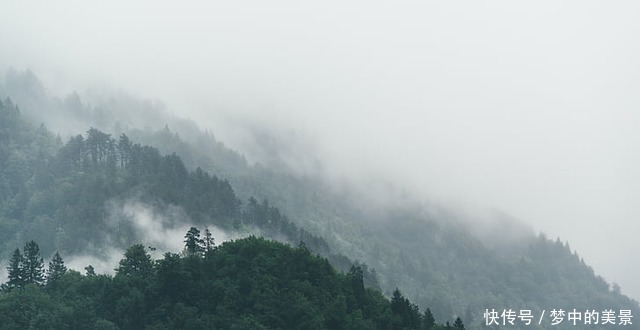 倾城之恋|生命的最高境界!(顿悟)