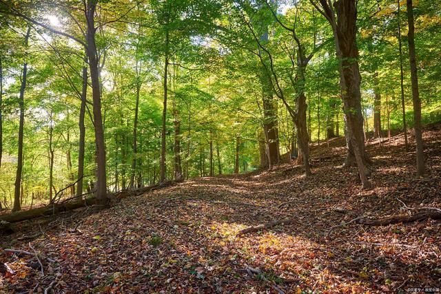 诗词@19首诗词,描写秋天的守望深秋大海逢涨潮,傍晚风吹树欲摇