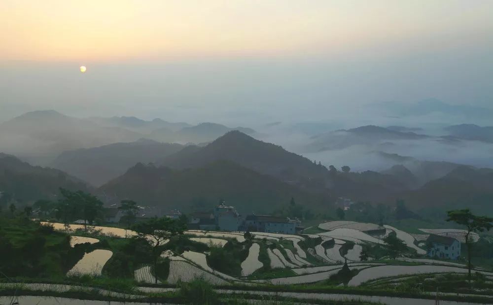 镜面|开耕了！天台泳溪“镜面梯田”强势来袭, 让人坐不住啊！