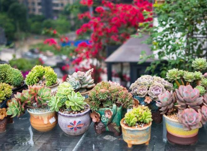 潮湿|住一楼带院子的户型,做好5件事,轻松赶走潮湿