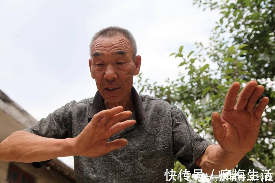 二雅|日本老年人痴呆测验题：4题全对的恭喜，大脑很健康！