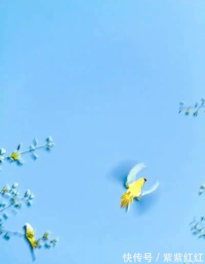 王阳明&哲思|改变人生的,不是大道理,而是小习惯