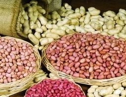 吸烟|长期吸烟的人,多吃点尼古丁的“天敌”,清烟毒,肺部更健康