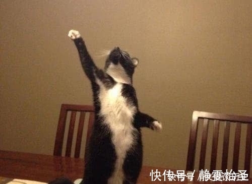 |搞笑:吃了几口饱饭之后就不知道自己是什么物种了