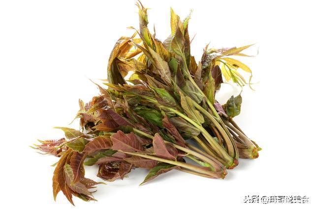 买香椿时,聪明人看见这5种香椿扭头就走,菜贩:我自己都不吃