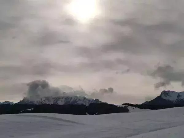  区税务局驻|大雪节气，想和你一起去看雪！一起，慢慢白了头~