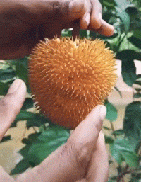 |搞笑GIF:妹纸,你这表情也太夸张了