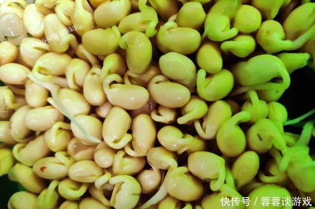 用了我这办法,发黄豆芽不会变臭一次就成功,五天就长15厘米高!