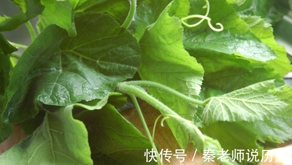 南瓜藤|女性不想变老太婆,常吃此菜,皮肤红润,远离炎症,子宫越来越好