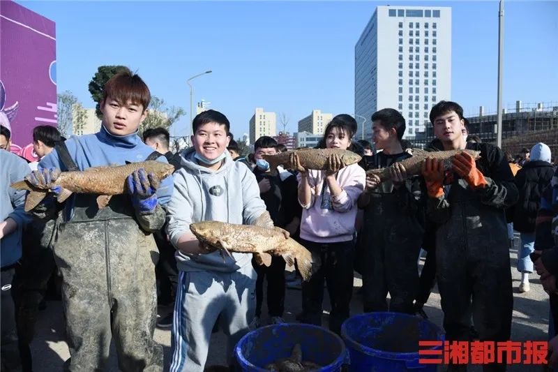 又是别人家的！湖南这所学校捞鱼请学生免费吃