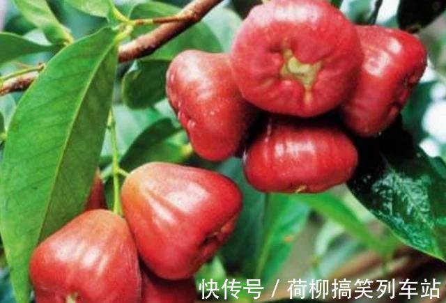 胎毒|孕妈在孕期,4物平时可劲儿吃,或许能清除胎毒,预防胎儿黄疸