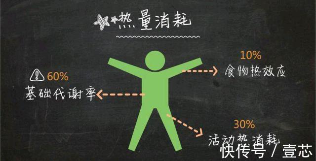 体脂肪|越南10大健身女神之首!36D大围度加120斤体重,演绎别样性感!