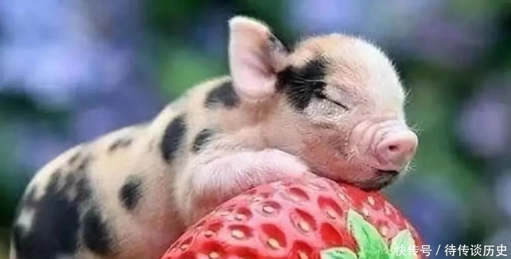 拿得起|既要拿得起,也要放得下