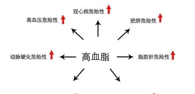 高脂血症|血脂高的人,眼睛可能有3个症状,若没有,说明血脂控制的还不错
