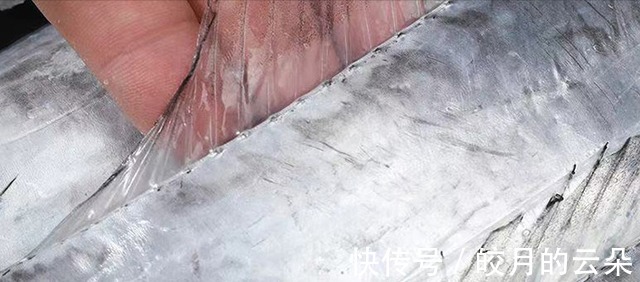 段儿|买带鱼，牢记“4买4不买”，条条肉嫩饱满，鱼腥味儿小，好吃新鲜！