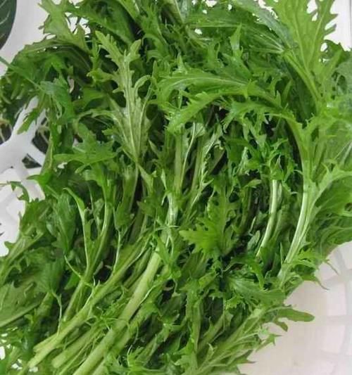 人到中年常吃几种食物，补充营养，滋补身体，早吃早好