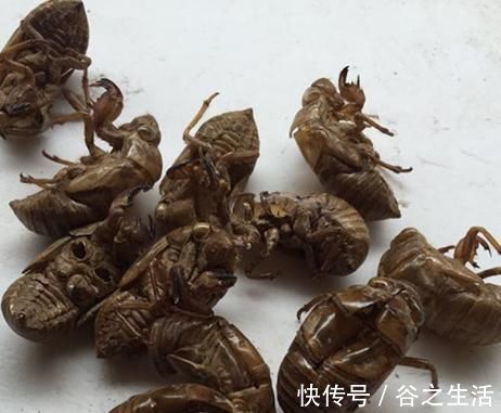 安眠药|年龄越大，失眠越重！3果3水是纯天然的“安眠药”，常吃可缓解