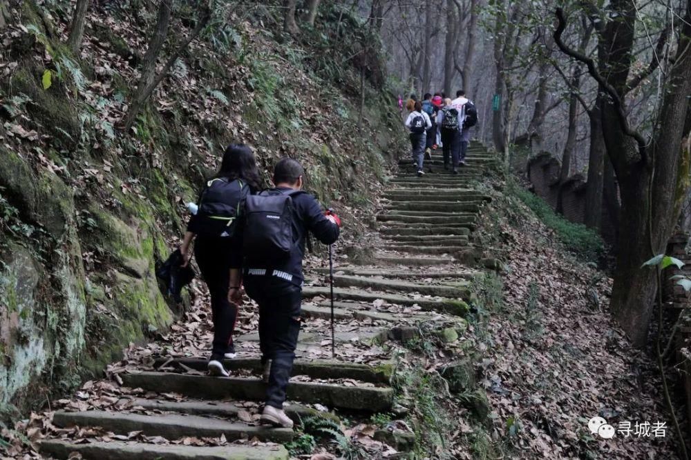 更喜南山千倾野，卅公里后尽开颜