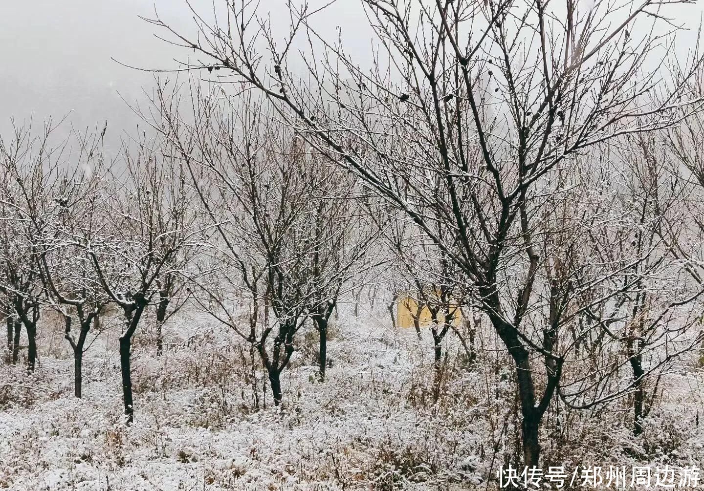 雪落|诗歌：雪落禅院