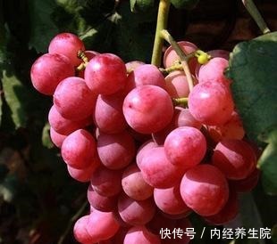 有钱人家院子里要栽此果树,美味可口又聚财,有土有水就不死