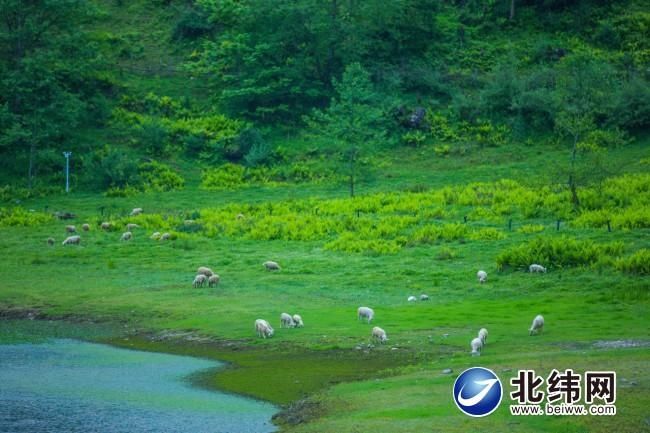 海子|遇见茨格达海子 在高山深处寻找“世外桃源”