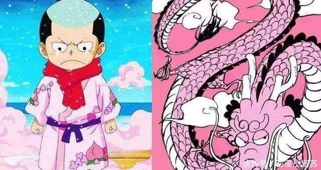 龙龙|海贼王: 实锤了, 龙龙果实一共有5颗! 凯多东方龙仅排第二名