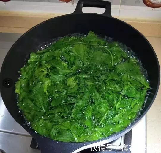 绿萝总是“黄叶”,10天浇1瓶“废水”,叶子油绿“大变样”