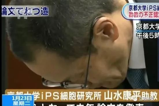 日本ips研究所再曝论文造假 诺奖得主山中伸弥道歉 快资讯