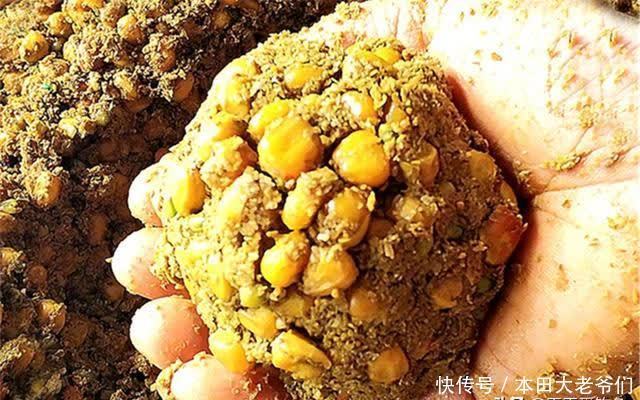 晚春时节,草鱼开始好钓,用这些嫩玉米饵料配方,饵料更对口
